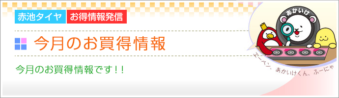 今月のお買い得情報