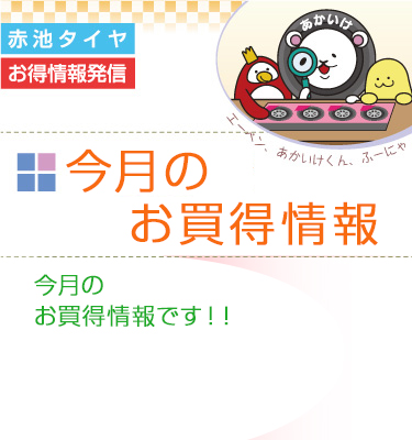 今月のお買い得情報